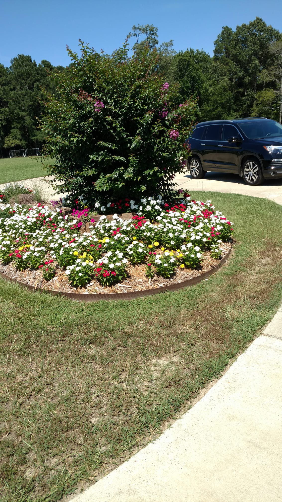 Water-efficient irrigation system